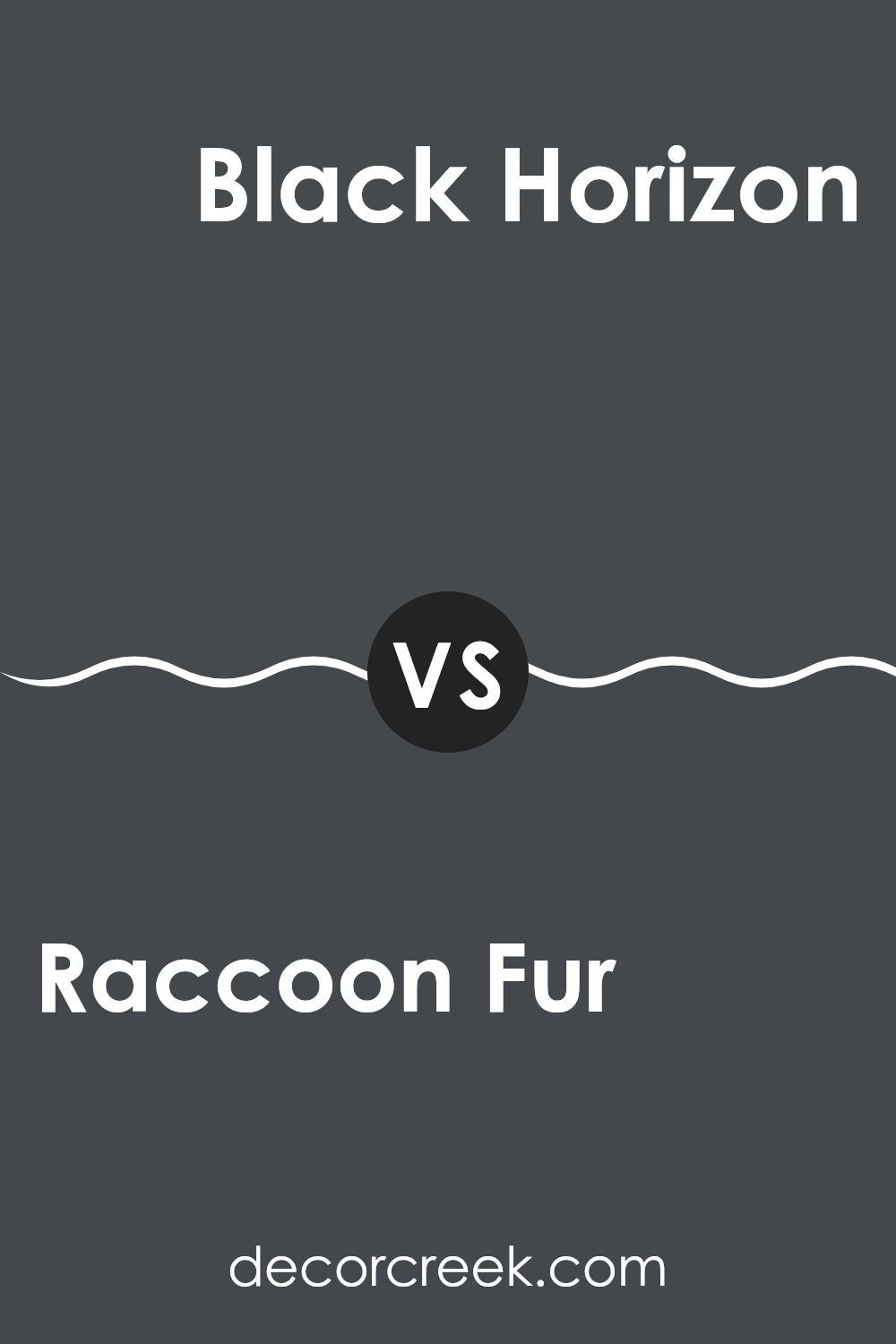 raccoon_fur_2126_20_vs_black_horizon_2132_30