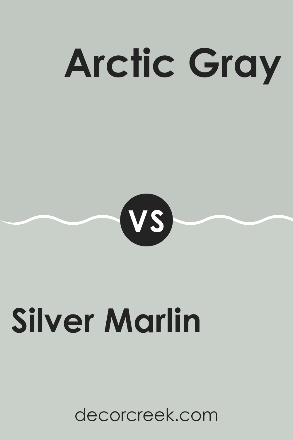 silver_marlin_2139_50_vs_arctic_gray_1577