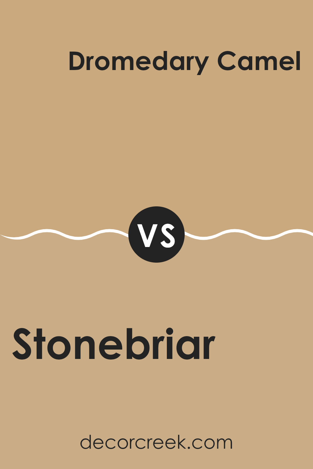 stonebriar_sw_7693_vs_dromedary_camel_sw_7694