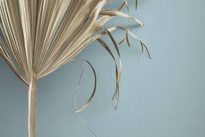 Buxton Blue HC-149 Paint Color by Benjamin Moore