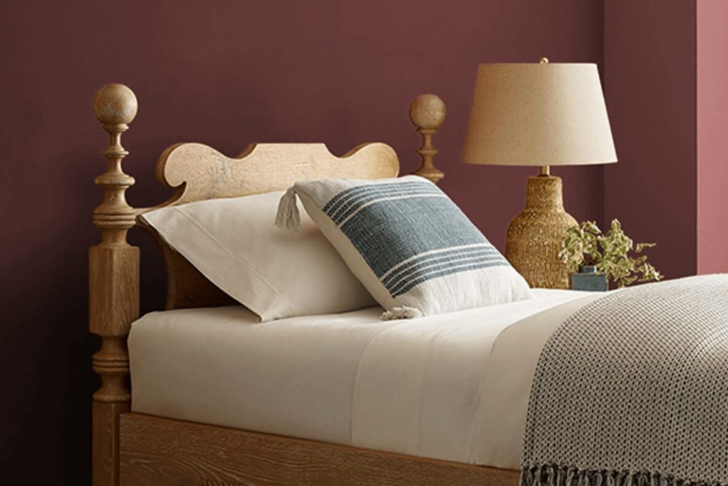 Dark Auburn SW 6034 Paint Color by Sherwin Williams