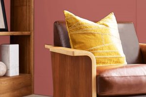 Henna Shade SW 6326 Paint Color by Sherwin Williams