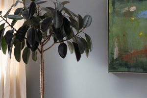 Pigeon Gray 2133-50 Paint Color by Benjamin Moore