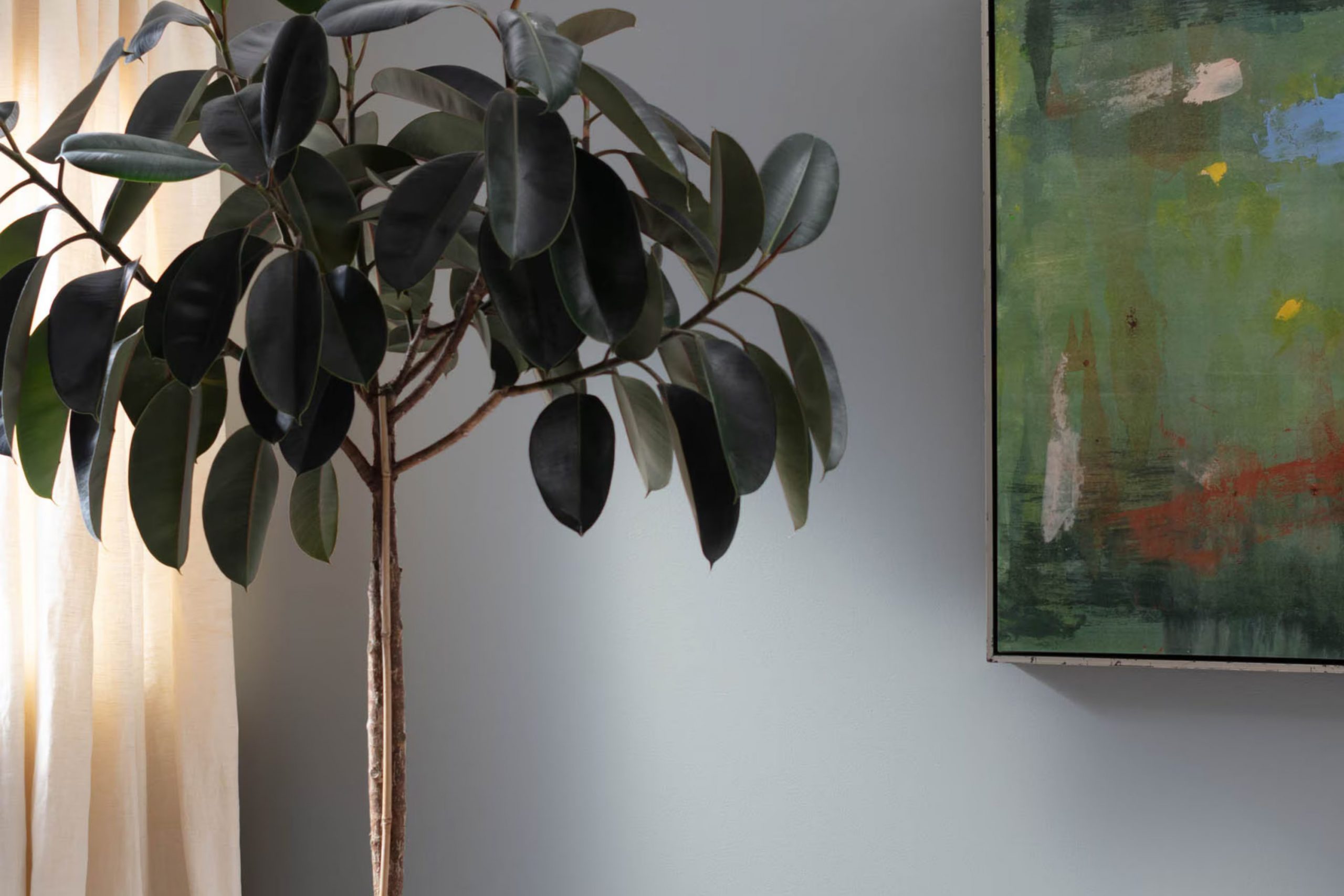 Pigeon Gray 2133-50 Paint Color by Benjamin Moore