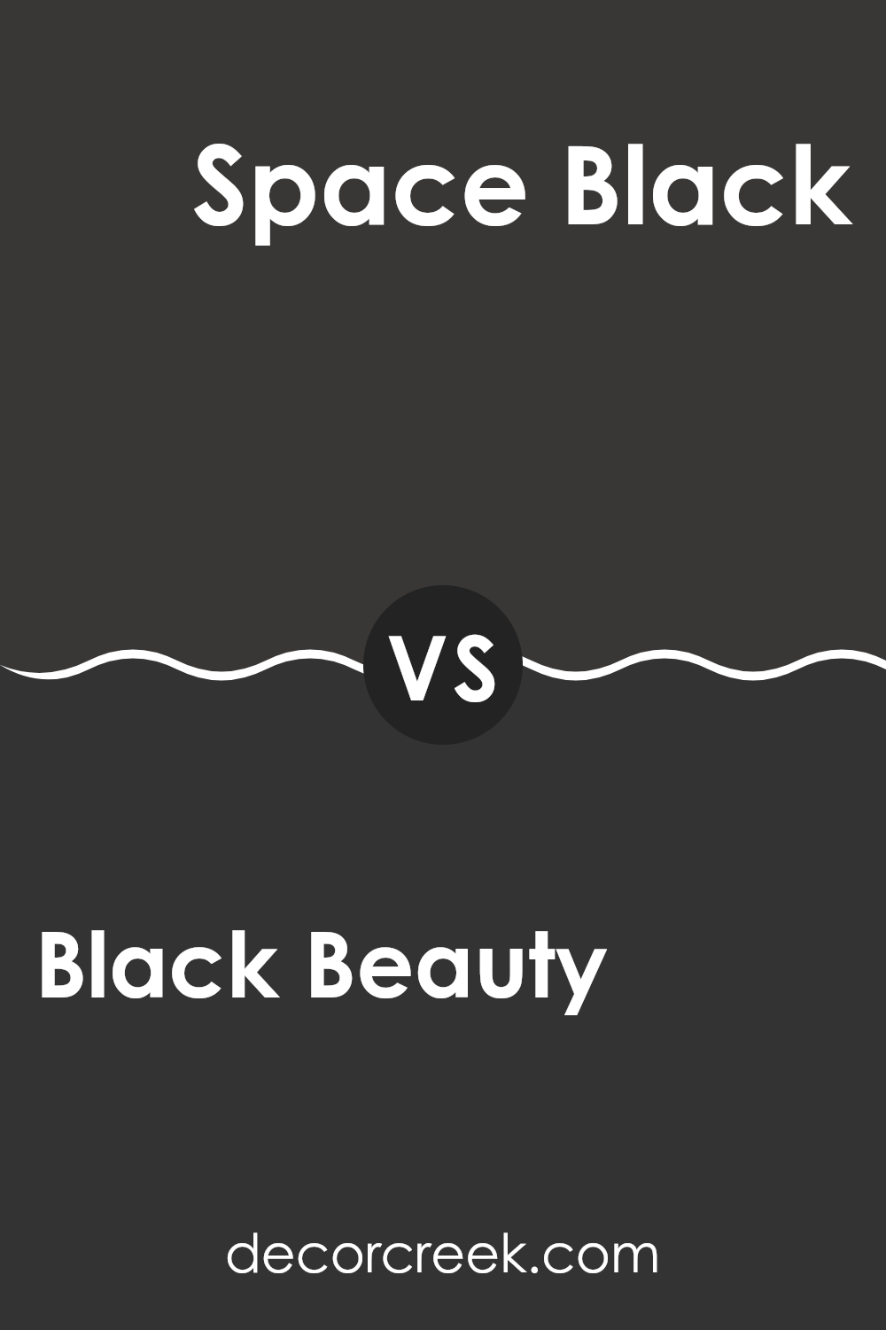 black_beauty_2128_10_vs_space_black_2119_10