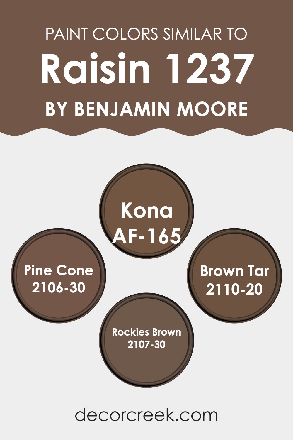 colors_similar_to_raisin_1237