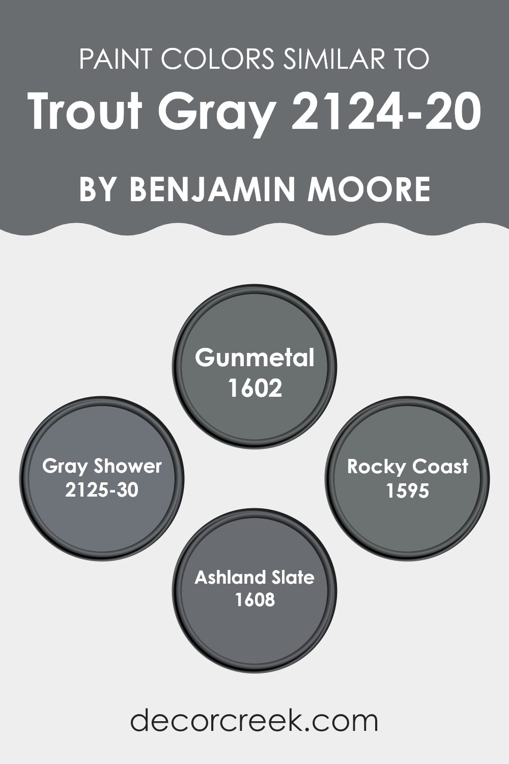 colors_similar_to_trout_gray_2124_20