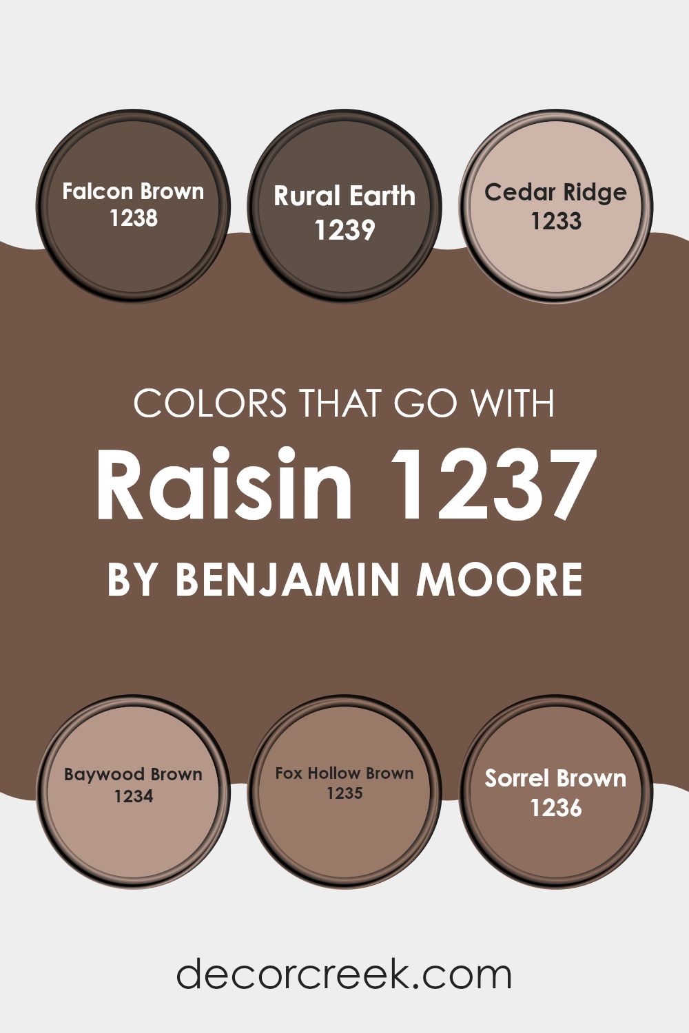 colors_that_go_with_raisin_1237