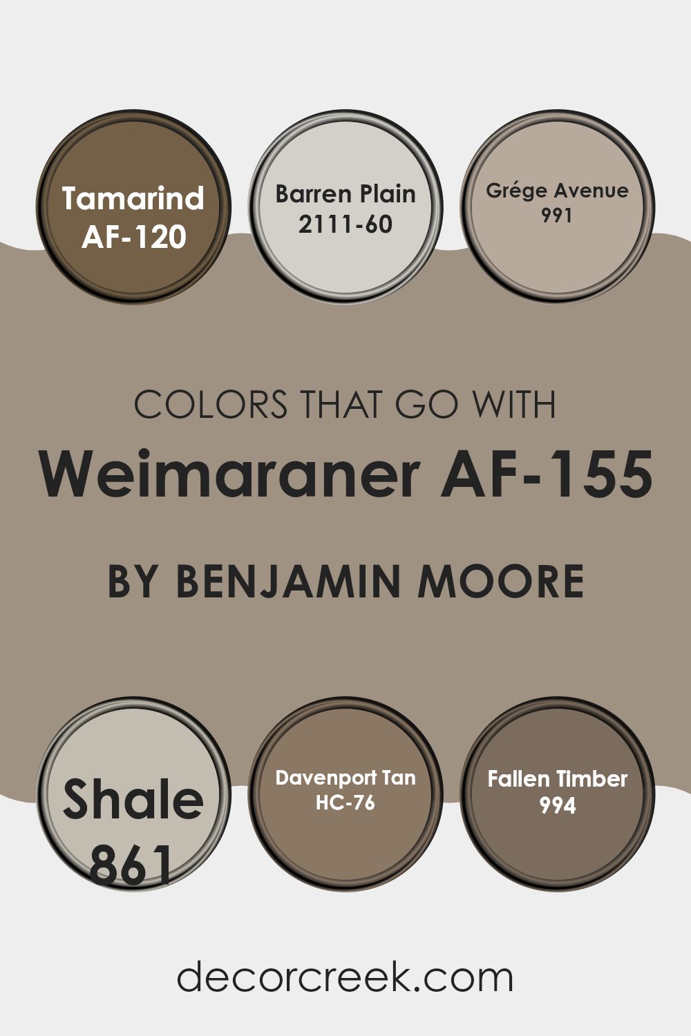colors_that_go_with_weimaraner_af_155