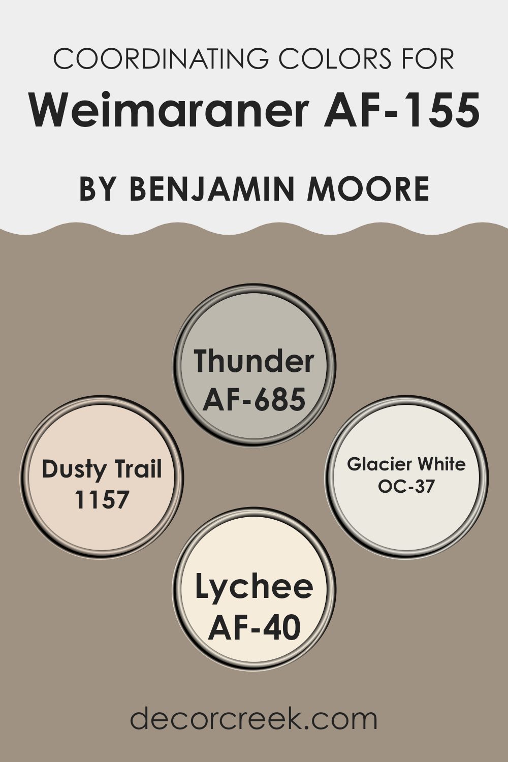 coordinating_colors_of_weimaraner_af_155
