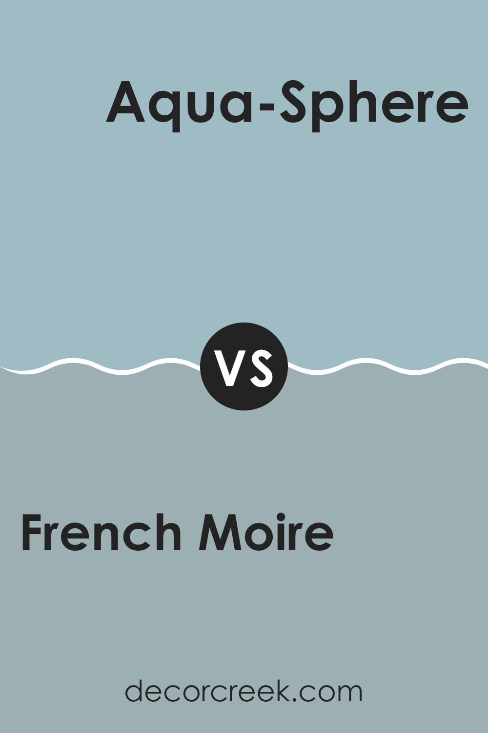 french_moire_sw_9056_vs_aqua_sphere_sw_7613