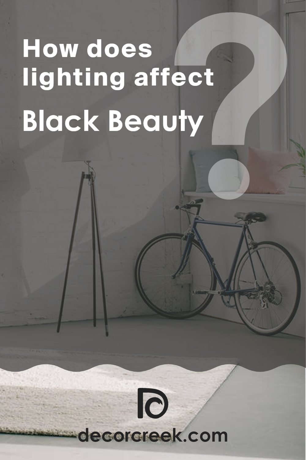 how_does_lighting_affect_black_beauty_2128_10