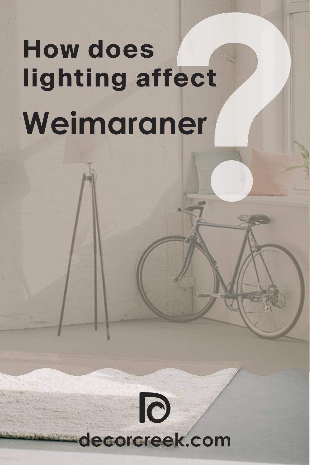 how_does_lighting_affect_weimaraner_af_155