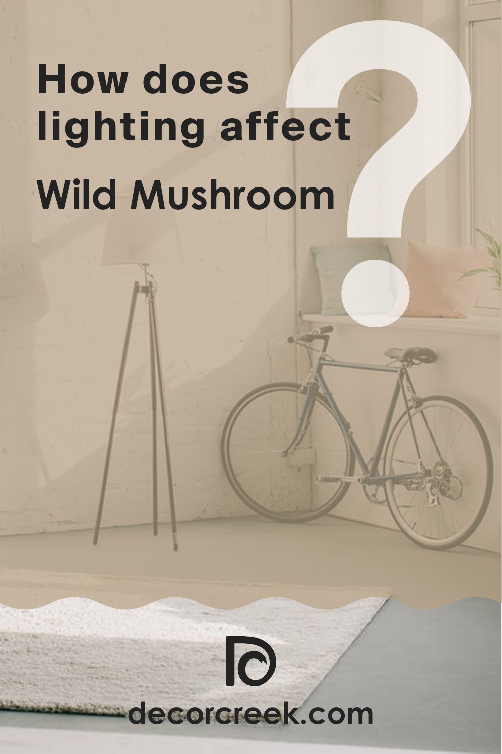 how_does_lighting_affect_wild_mushroom_cc_336