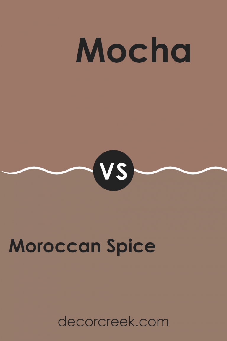 Moroccan Spice SW 6060 Paint Color by Sherwin Williams - DecorCreek