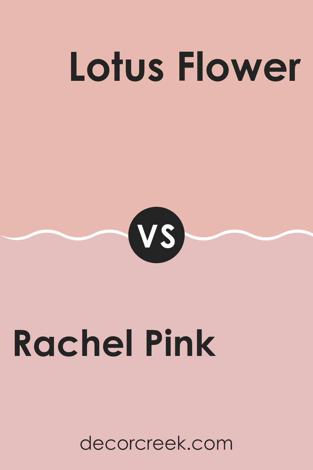 rachel_pink_sw_0026_vs_lotus_flower_sw_6310
