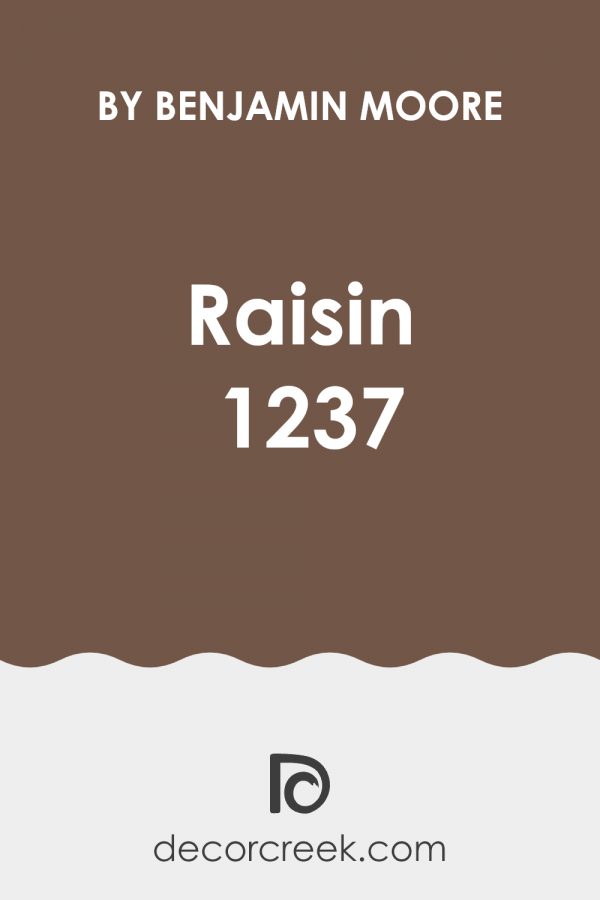 Raisin 1237 Paint Color by Benjamin Moore - DecorCreek