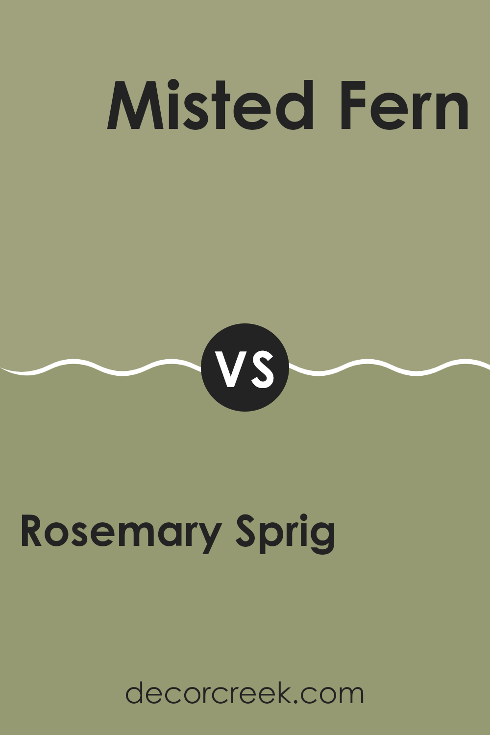 rosemary_sprig_2144_30_vs_misted_fern_482