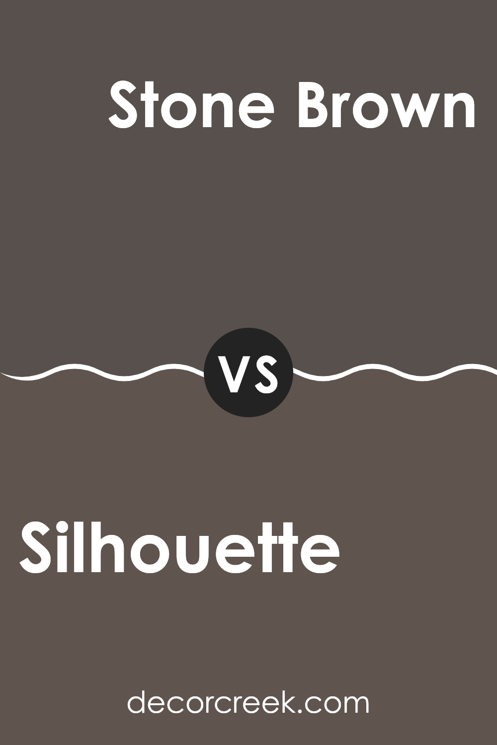silhouette_af_655_vs_stone_brown_2112_30