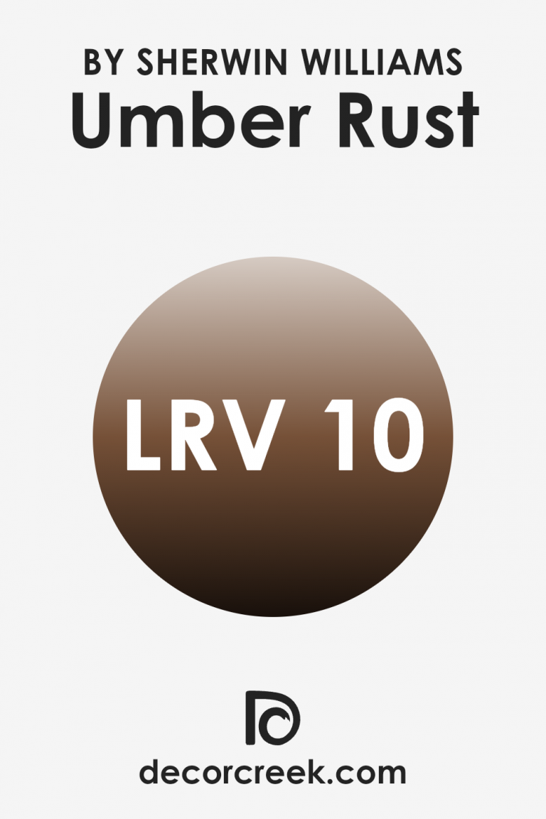 Umber Rust SW 9100 Paint Color by Sherwin Williams - DecorCreek