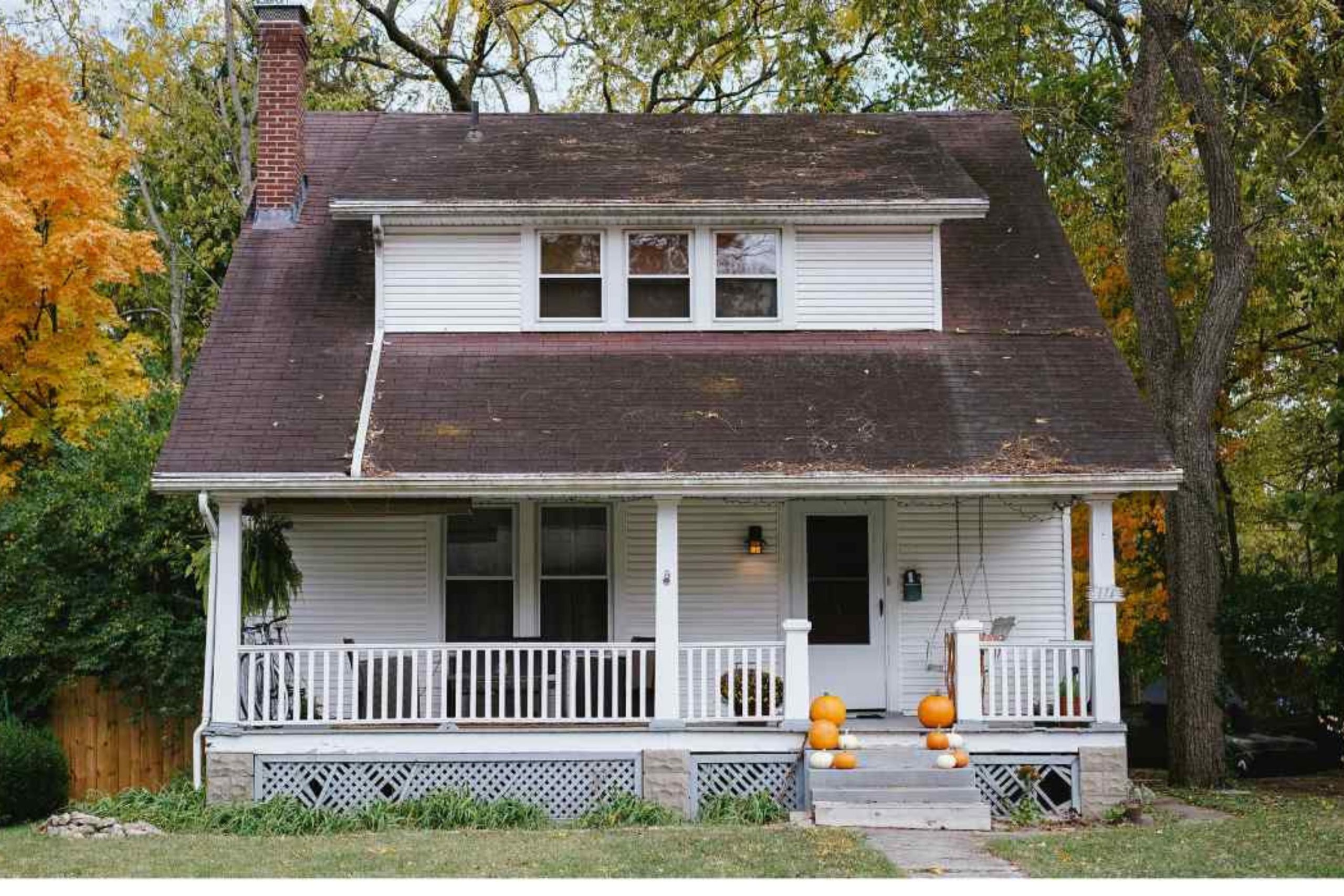 How I Choose the Perfect Evergreen Shade for a Village House