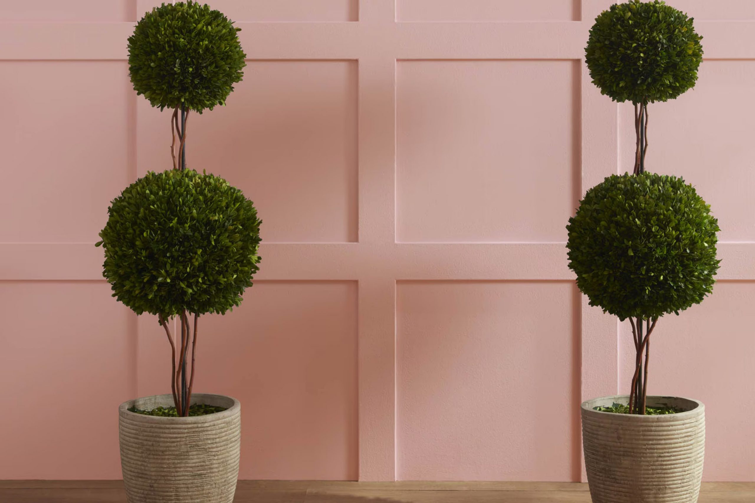 Rose Bisque 2102-50 Paint Color by Benjamin Moore