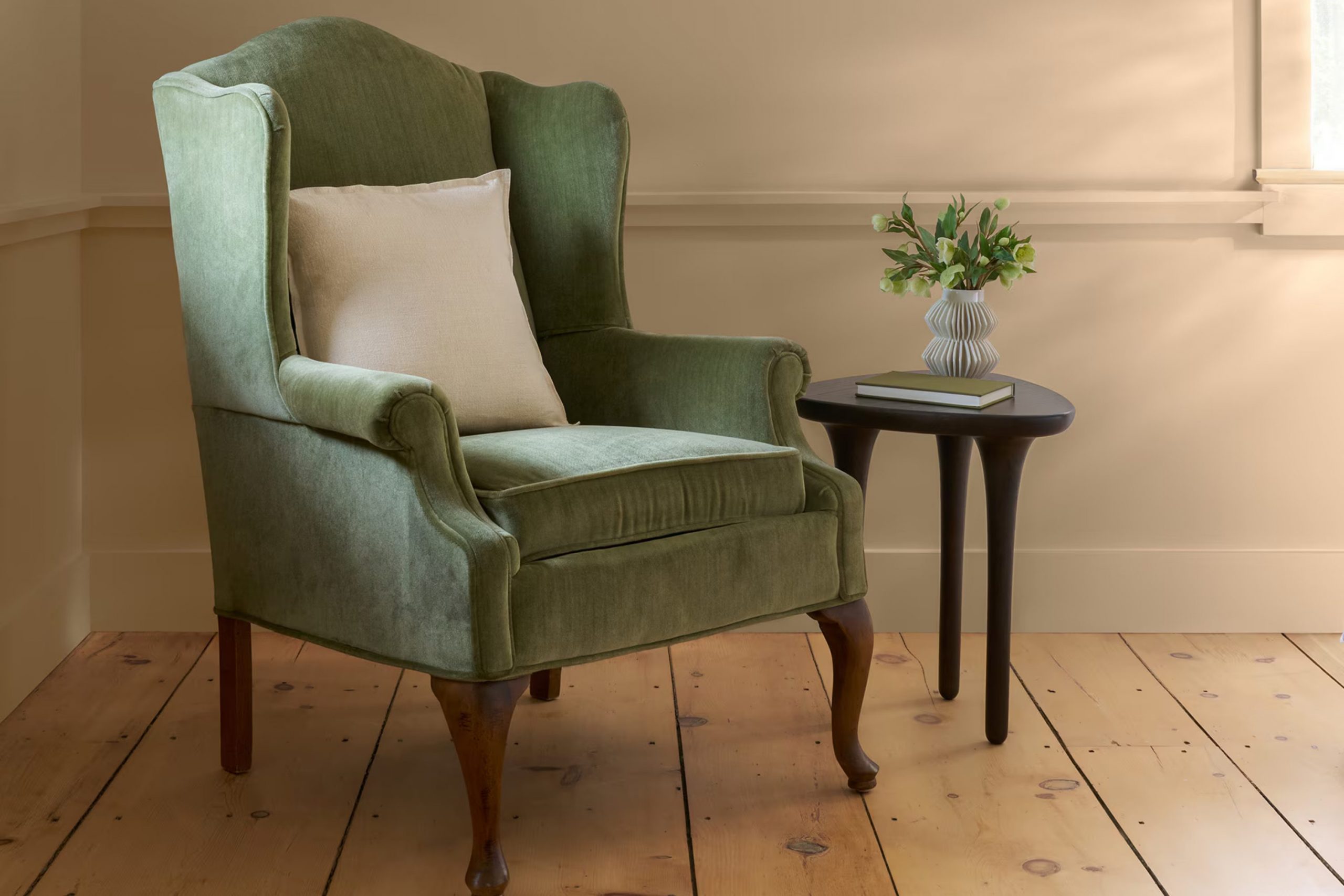 Wild Mushroom CC-336 Paint Color by Benjamin Moore