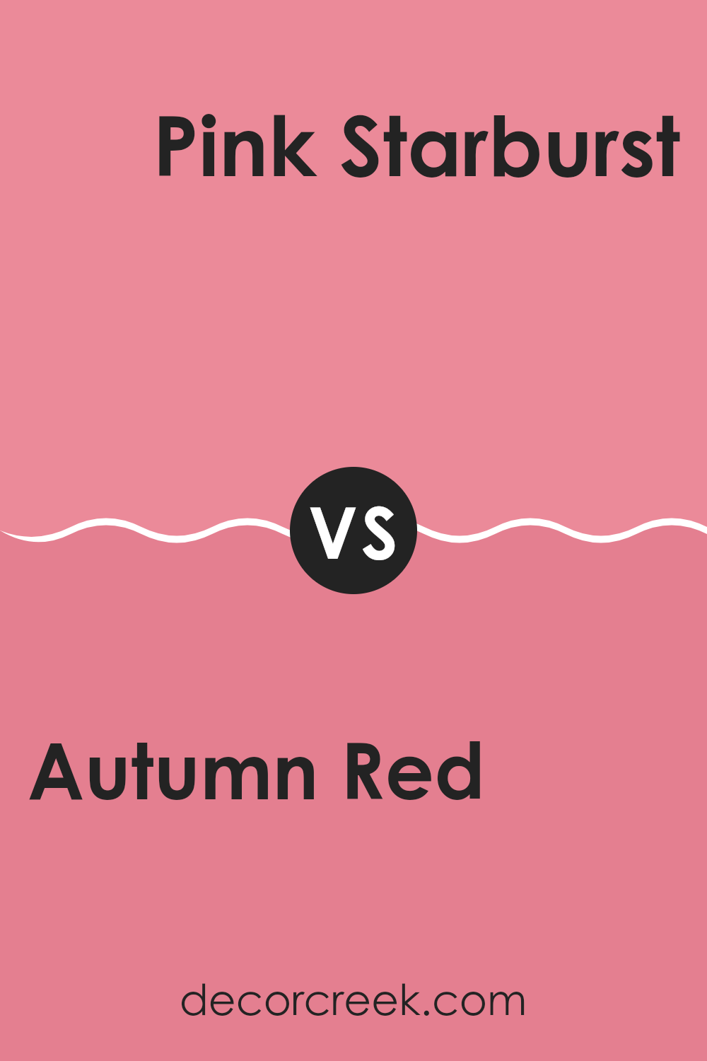 autumn_red_2087_40_vs_pink_starburst_2004_40