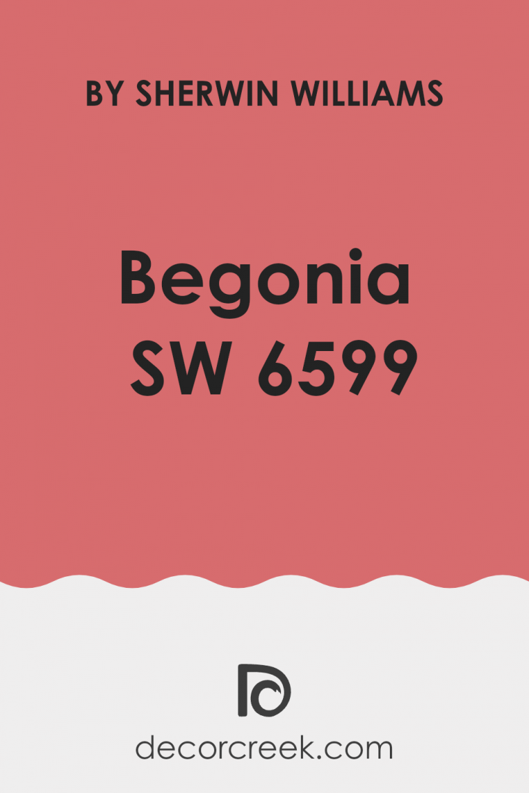 Begonia SW 6599 Paint Color by Sherwin Williams - DecorCreek