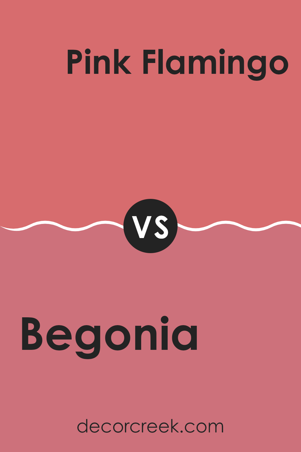 begonia_sw_6599_vs_pink_flamingo_sw_0080