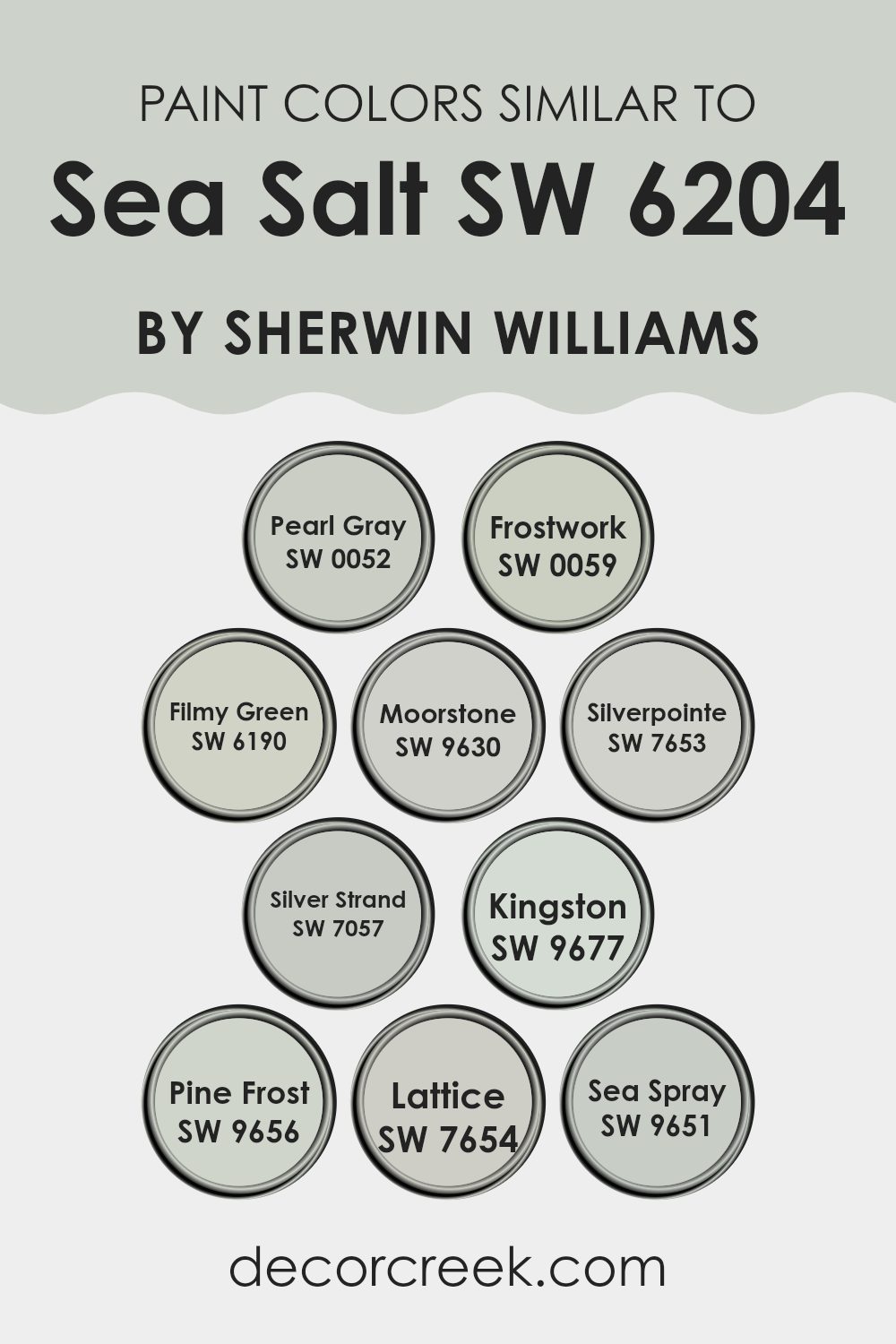 colors_similar_to_sea_salt_sw_6204