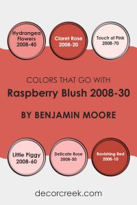 Raspberry Blush 2008-30 Paint Color by Benjamin Moore - DecorCreek