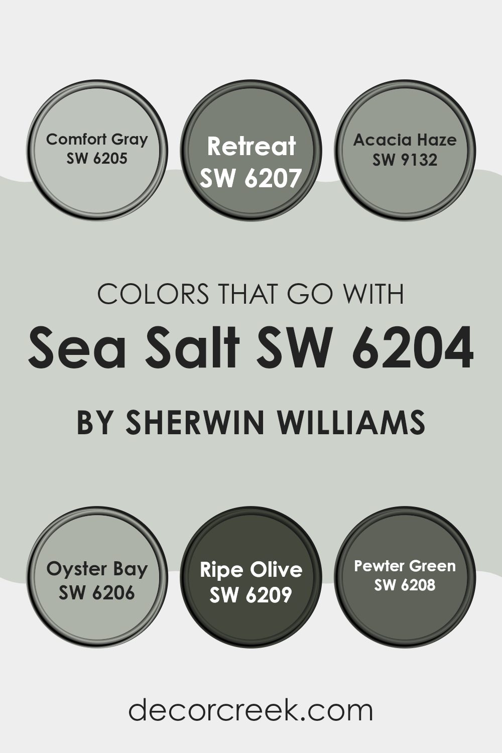 colors_that_go_with_sea_salt_sw_6204