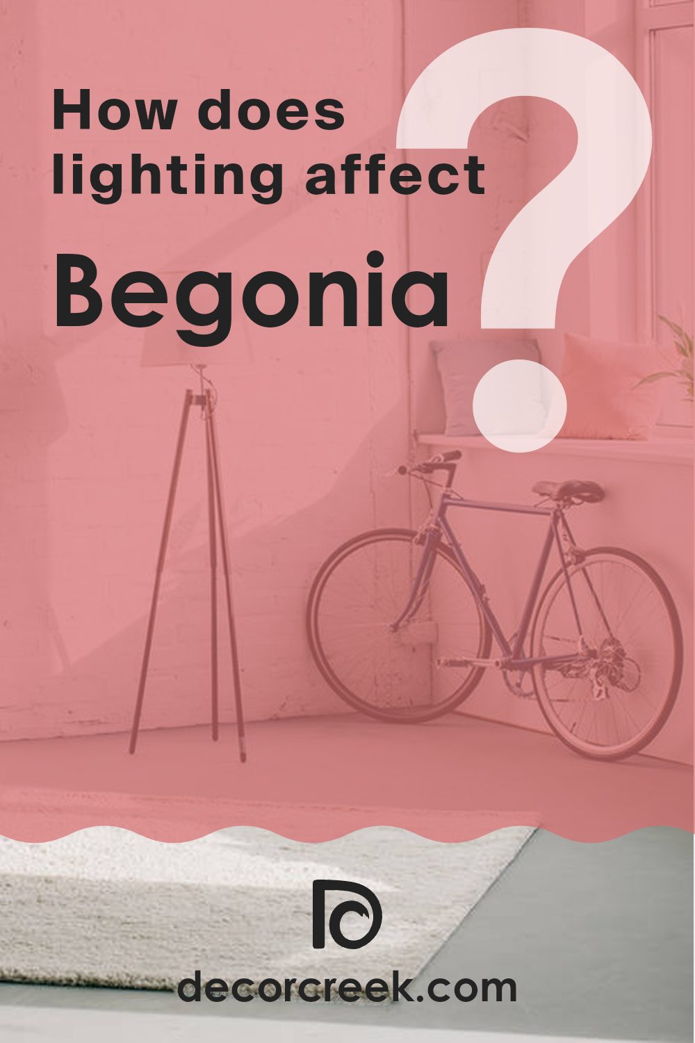how_does_lighting_affect_begonia_sw_6599