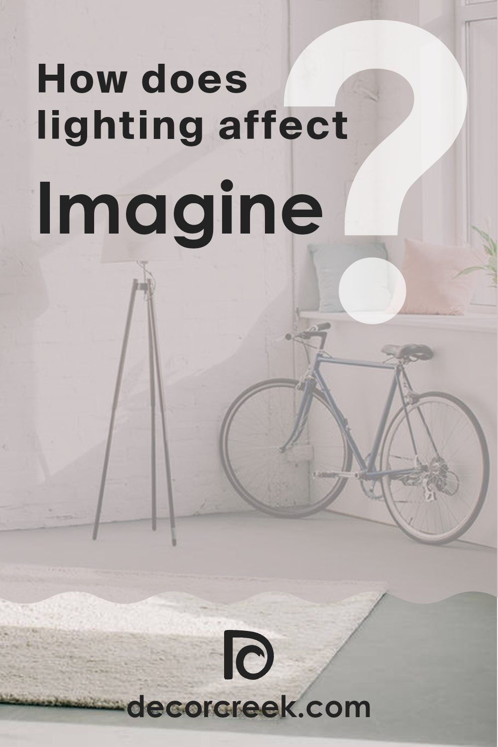 how_does_lighting_affect_imagine_sw_6009