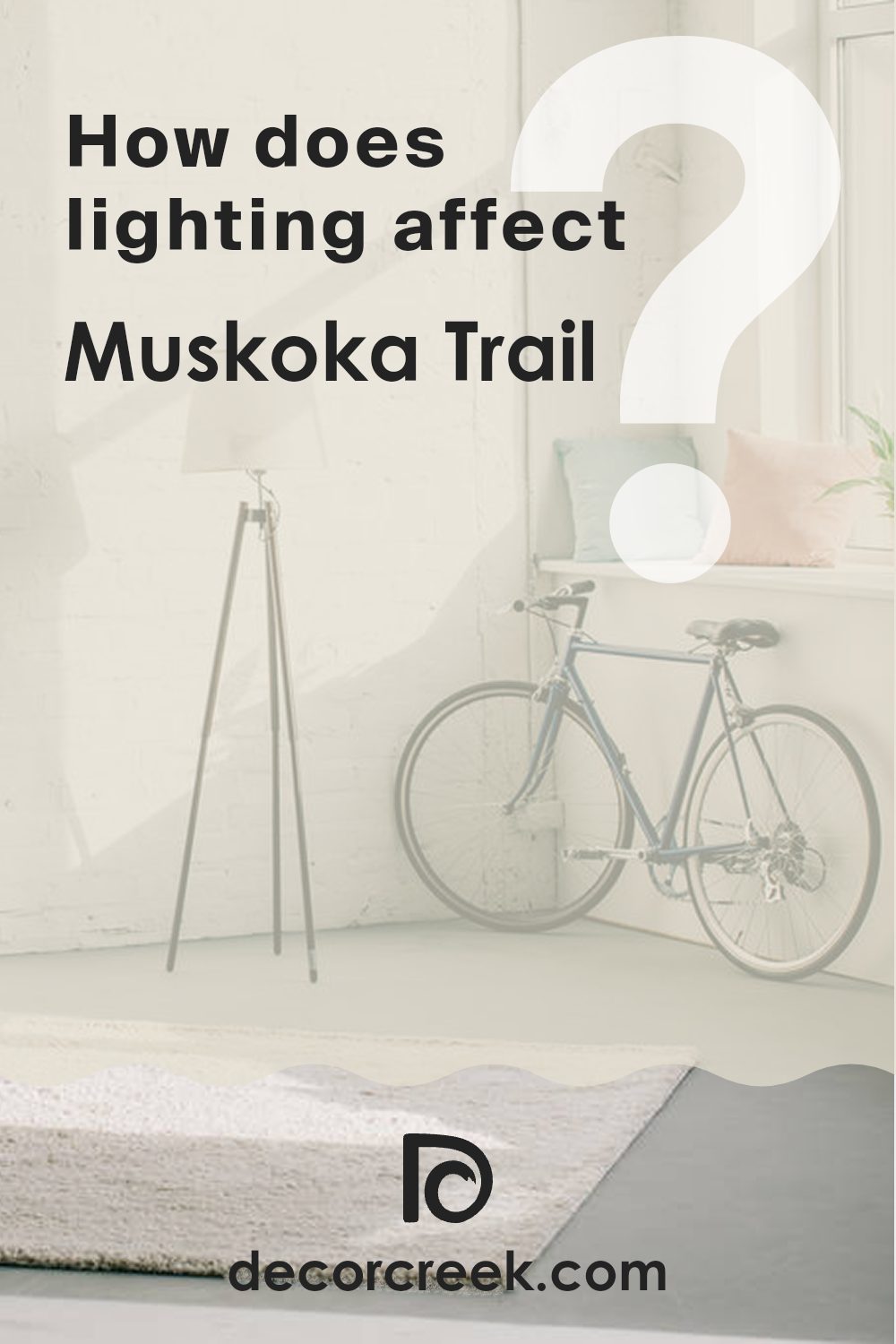 how_does_lighting_affect_muskoka_trail_974