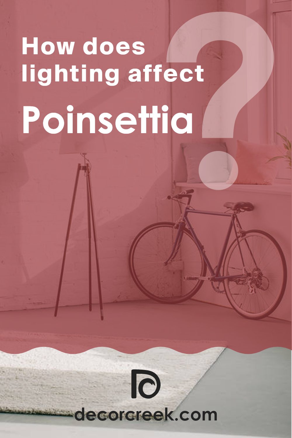 how_does_lighting_affect_poinsettia_sw_6594