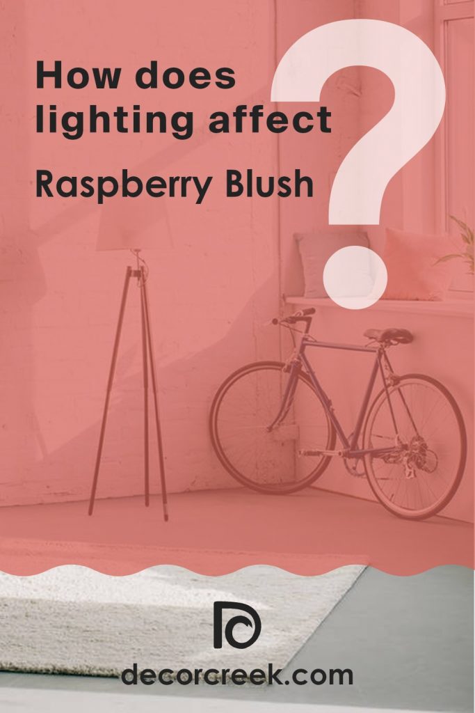 Raspberry Blush 2008-30 Paint Color by Benjamin Moore - DecorCreek