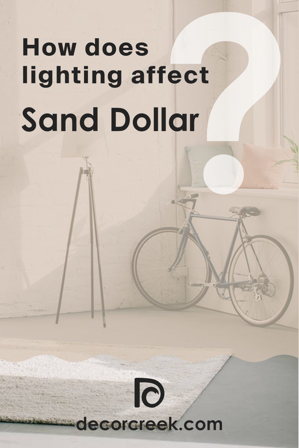 how_does_lighting_affect_sand_dollar_sw_6099