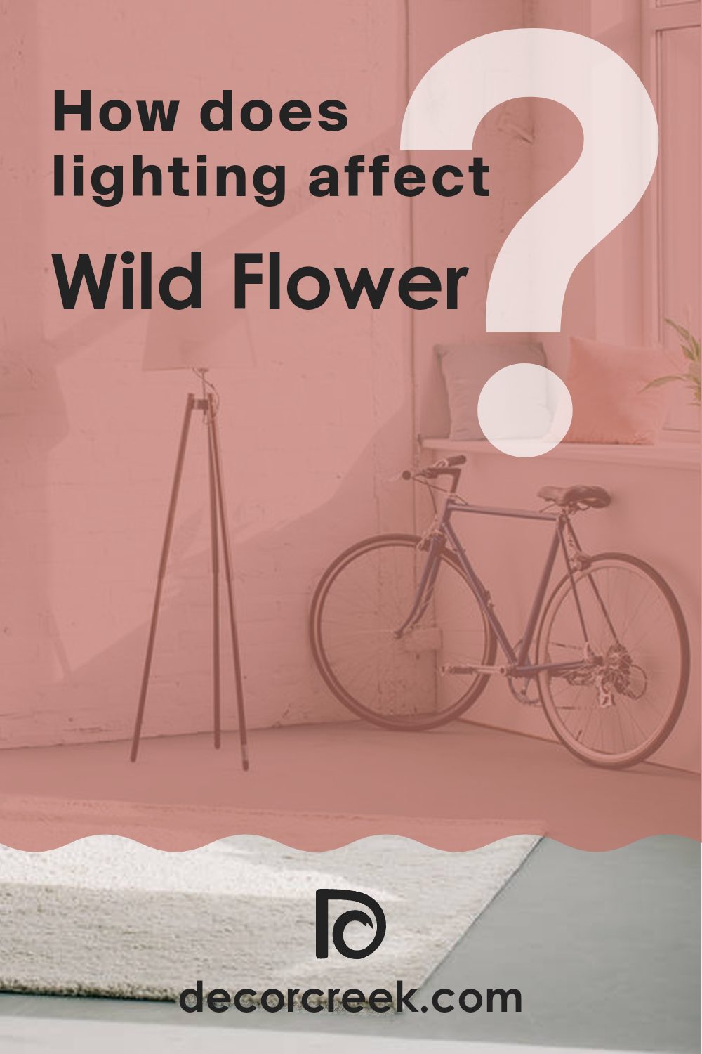 how_does_lighting_affect_wild_flower_2090_40