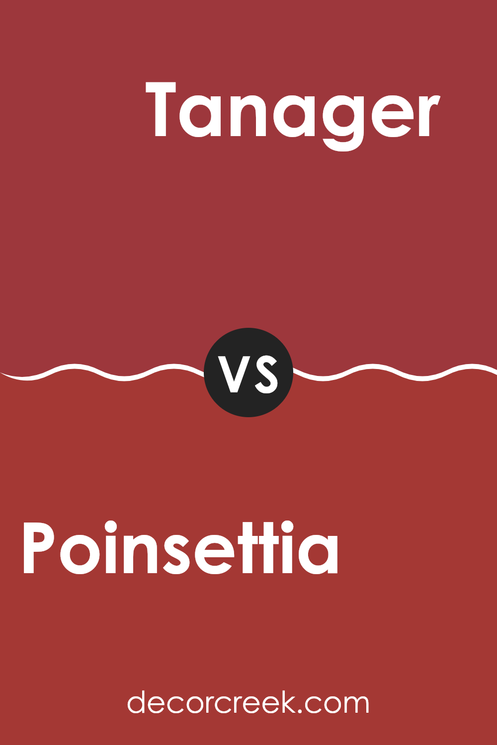 poinsettia_sw_6594_vs_tanager_sw_6601
