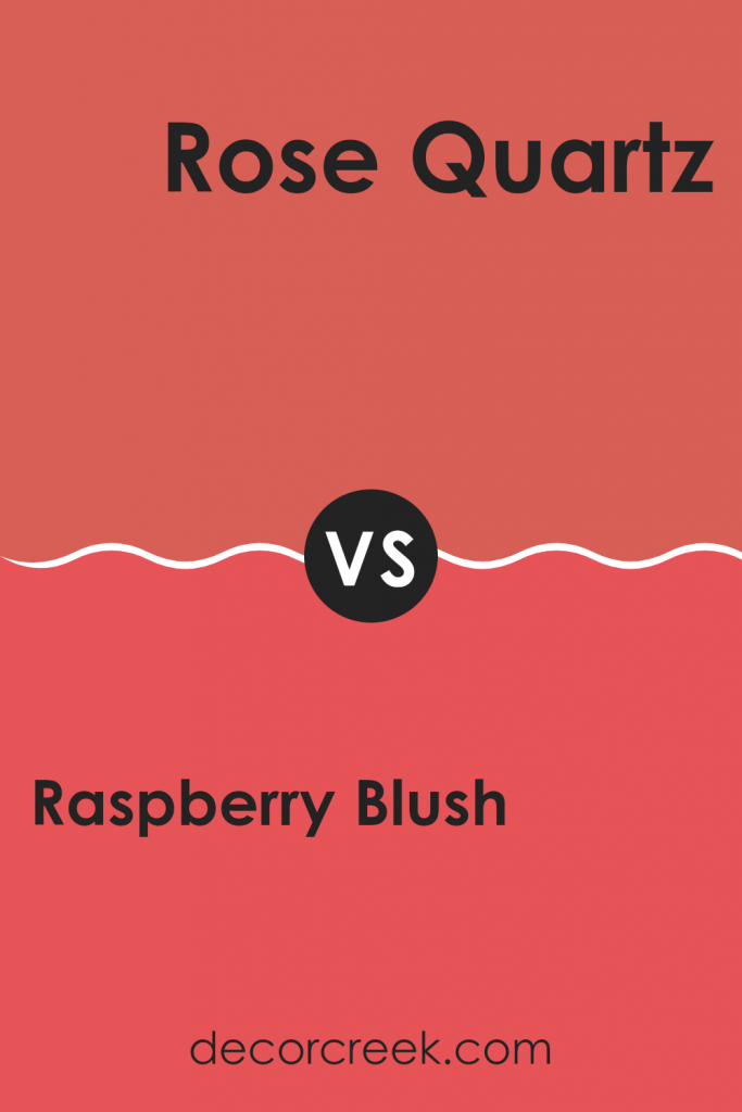 Raspberry Blush 2008-30 Paint Color by Benjamin Moore - DecorCreek
