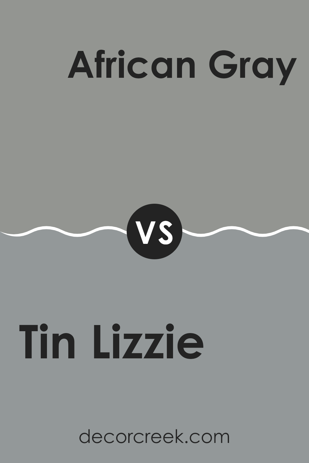 tin_lizzie_sw_9163_vs_african_gray_sw_9162