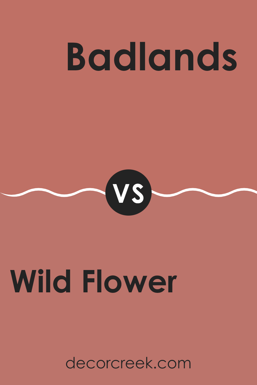 wild_flower_2090_40_vs_badlands_1293