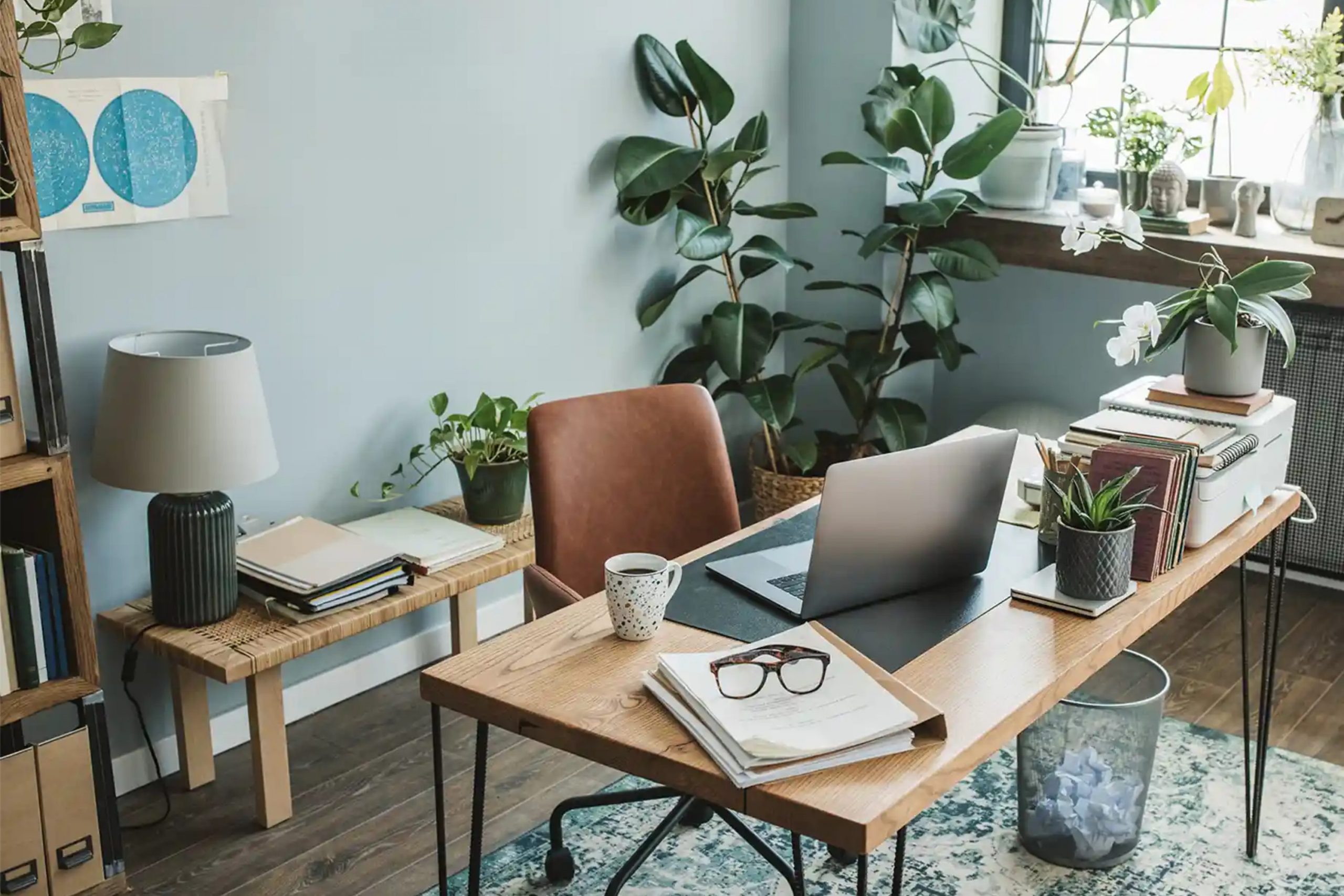 27 Reading Room Paint Color Ideas for a Cozy, Quiet, and Stylish Home Library