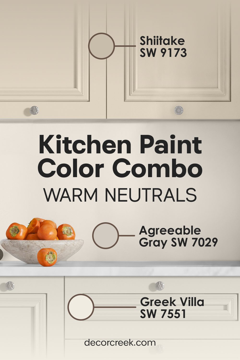 Agreeable Gray SW 7029 + Shiitake SW 9173 + Greek Villa SW 7551