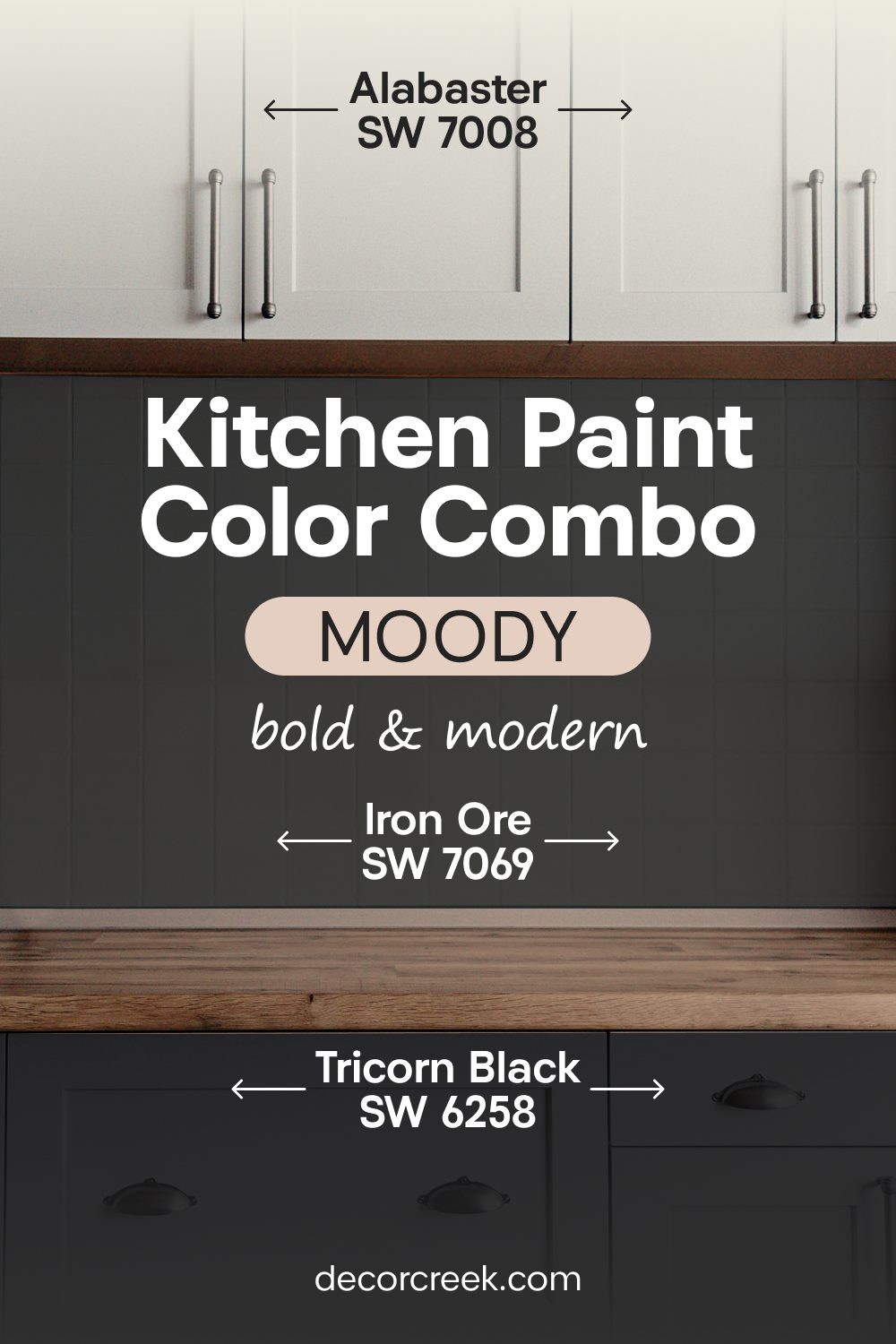 Iron Ore SW 7069 + Tricorn Black SW 6258 + Alabaster SW 7008