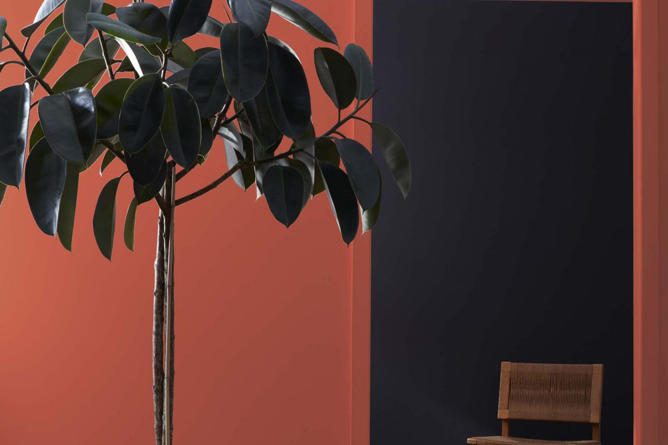 Terra Cotta Tile 2090-30 Paint Color by Benjamin Moore