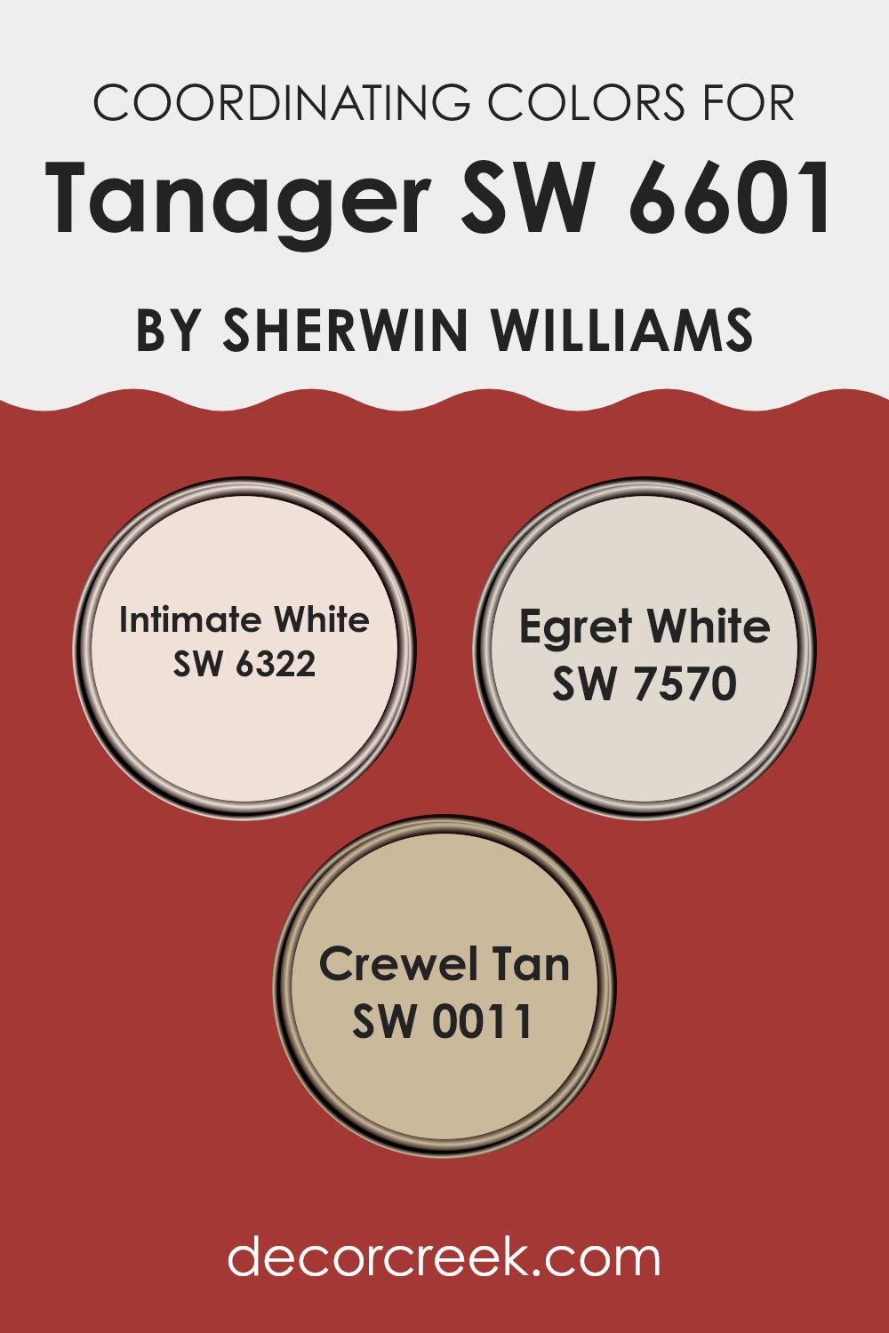 coordinating_colors_of_tanager_sw_6601