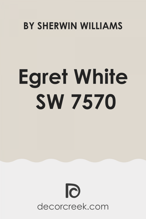 Things to Know Before You Choose Egret White SW 7570 by Sherwin ...